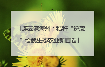 连云港海州：秸秆“逆袭”绘就生态农业新画卷
