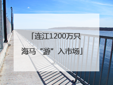 连江1200万只海马“游”入市场