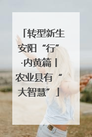 转型新生安阳“行”·内黄篇丨农业县有“大智慧”