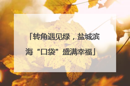 转角遇见绿，盐城滨海“口袋”盛满幸福