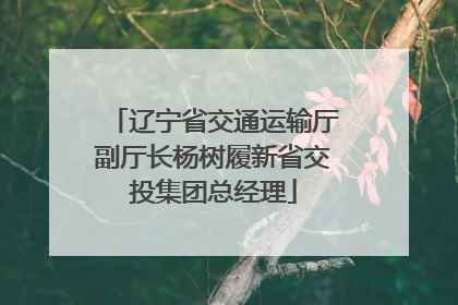 辽宁省交通运输厅副厅长杨树履新省交投集团总经理