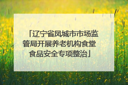 辽宁省凤城市市场监管局开展养老机构食堂食品安全专项整治