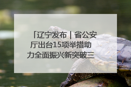 辽宁发布｜省公安厅出台15项举措助力全面振兴新突破三年行动决胜之战
