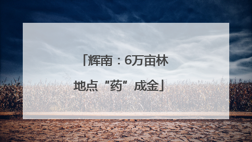 辉南：6万亩林地点“药”成金