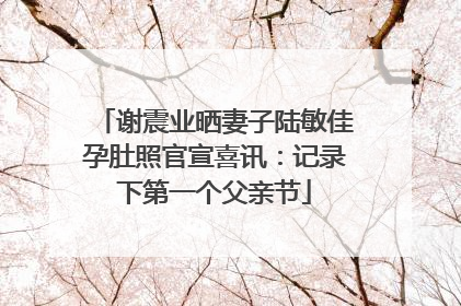 谢震业晒妻子陆敏佳孕肚照官宣喜讯：记录下第一个父亲节