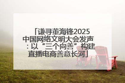 谦寻董海锋2025中国网络文明大会发声：以“三个向善”构建直播电商善意长河