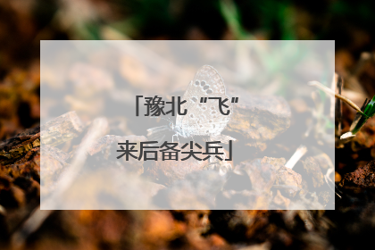 豫北“飞”来后备尖兵