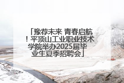 豫荐未来 青春启航！平顶山工业职业技术学院举办2025届毕业生夏季招聘会