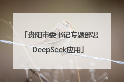 贵阳市委书记专题部署DeepSeek应用