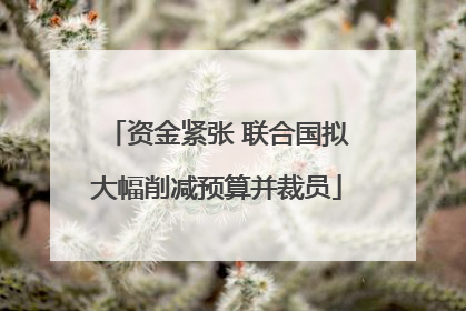 资金紧张 联合国拟大幅削减预算并裁员