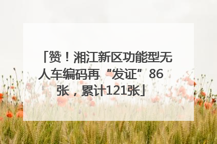 赞！湘江新区功能型无人车编码再“发证”86张，累计121张