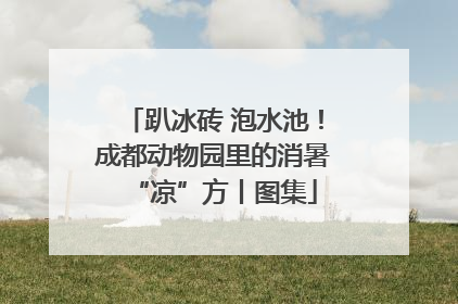 趴冰砖 泡水池！成都动物园里的消暑“凉”方丨图集