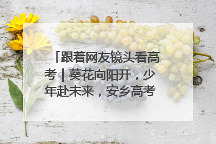 跟着网友镜头看高考｜葵花向阳开，少年赴未来，安乡高考首日的希望图景
