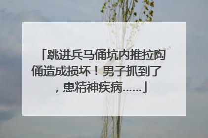跳进兵马俑坑内推拉陶俑造成损坏！男子抓到了，患精神疾病……