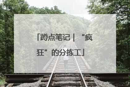蹲点笔记｜“疯狂”的分拣工