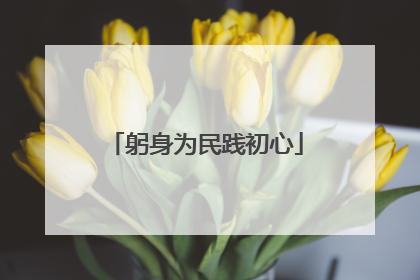 躬身为民践初心