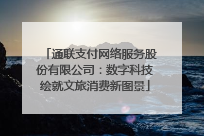 通联支付网络服务股份有限公司：数字科技绘就文旅消费新图景