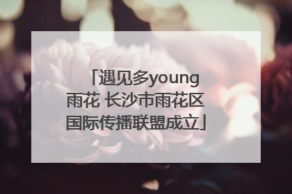遇见多young雨花 长沙市雨花区国际传播联盟成立