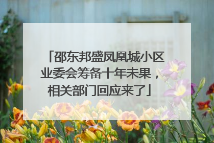 邵东邦盛凤凰城小区业委会筹备十年未果，相关部门回应来了
