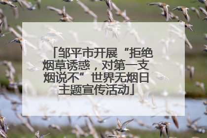 邹平市开展“拒绝烟草诱惑，对第一支烟说不”世界无烟日主题宣传活动