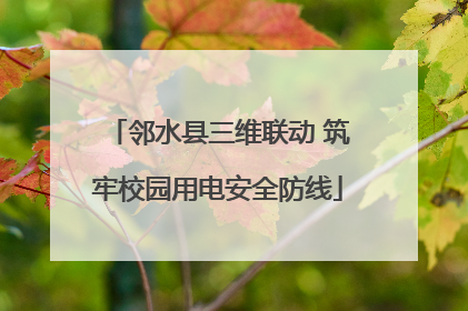 邻水县三维联动 筑牢校园用电安全防线