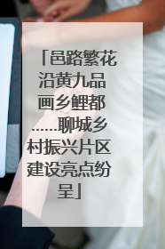 邑路繁花 沿黄九品 画乡鲤都……聊城乡村振兴片区建设亮点纷呈