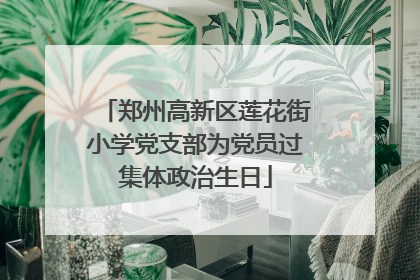 郑州高新区莲花街小学党支部为党员过集体政治生日