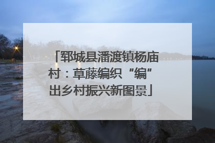 郓城县潘渡镇杨庙村：草藤编织“编”出乡村振兴新图景