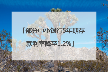 部分中小银行5年期存款利率降至1.2%