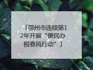 鄂州市连续第12年开展“便民办税春风行动”