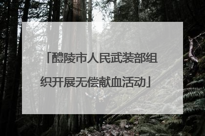 醴陵市人民武装部组织开展无偿献血活动
