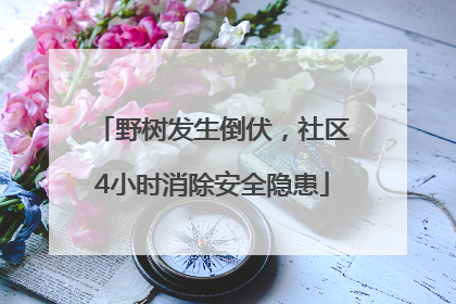 野树发生倒伏，社区4小时消除安全隐患