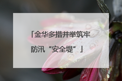 金华多措并举筑牢防汛“安全堤”
