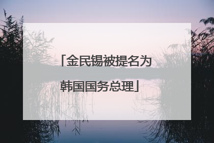 金民锡被提名为韩国国务总理