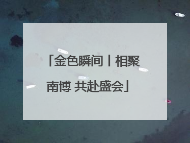 金色瞬间丨相聚南博 共赴盛会