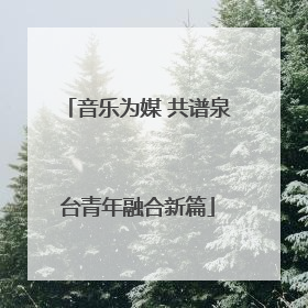 音乐为媒 共谱泉台青年融合新篇