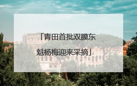 青田首批双膜东魁杨梅迎来采摘