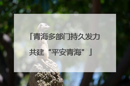 青海多部门持久发力共建“平安青海”