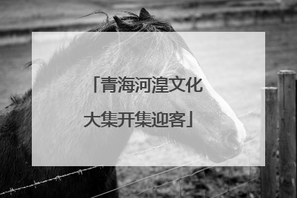 青海河湟文化大集开集迎客