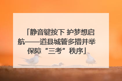 静音键按下 护梦想启航——道县城管多措并举保障“三考”秩序