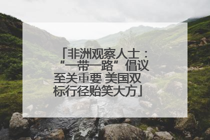 非洲观察人士：“一带一路”倡议至关重要 美国双标行径贻笑大方