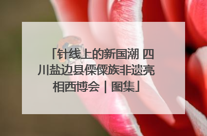 针线上的新国潮 四川盐边县傈僳族非遗亮相西博会｜图集