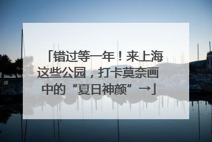 错过等一年！来上海这些公园，打卡莫奈画中的“夏日神颜”→