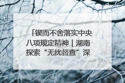 锲而不舍落实中央八项规定精神｜湖南探索“无扰督查”深化基层减负