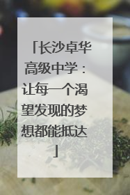 长沙卓华高级中学：让每一个渴望发现的梦想都能抵达