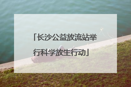 长沙公益放流站举行科学放生行动