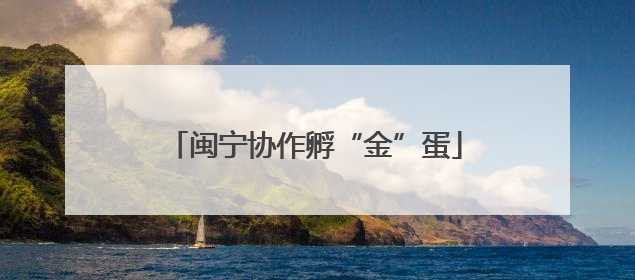 闽宁协作孵“金”蛋