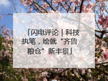 闪电评论｜科技执笔，绘就“齐鲁粮仓”新丰景