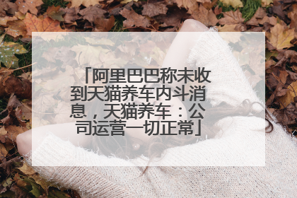 阿里巴巴称未收到天猫养车内斗消息，天猫养车：公司运营一切正常