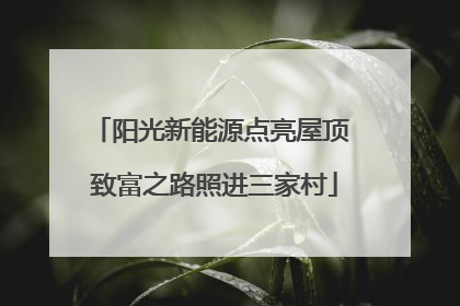 阳光新能源点亮屋顶 致富之路照进三家村